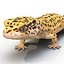 3d leopard gecko pose modeled model