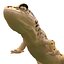 3d leopard gecko pose modeled model