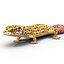 3d leopard gecko pose modeled model
