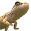3d leopard gecko pose modeled model