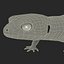 3d leopard gecko pose modeled model