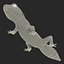 3d leopard gecko pose modeled model