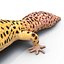 3d leopard gecko pose modeled model