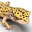 3d leopard gecko pose modeled model