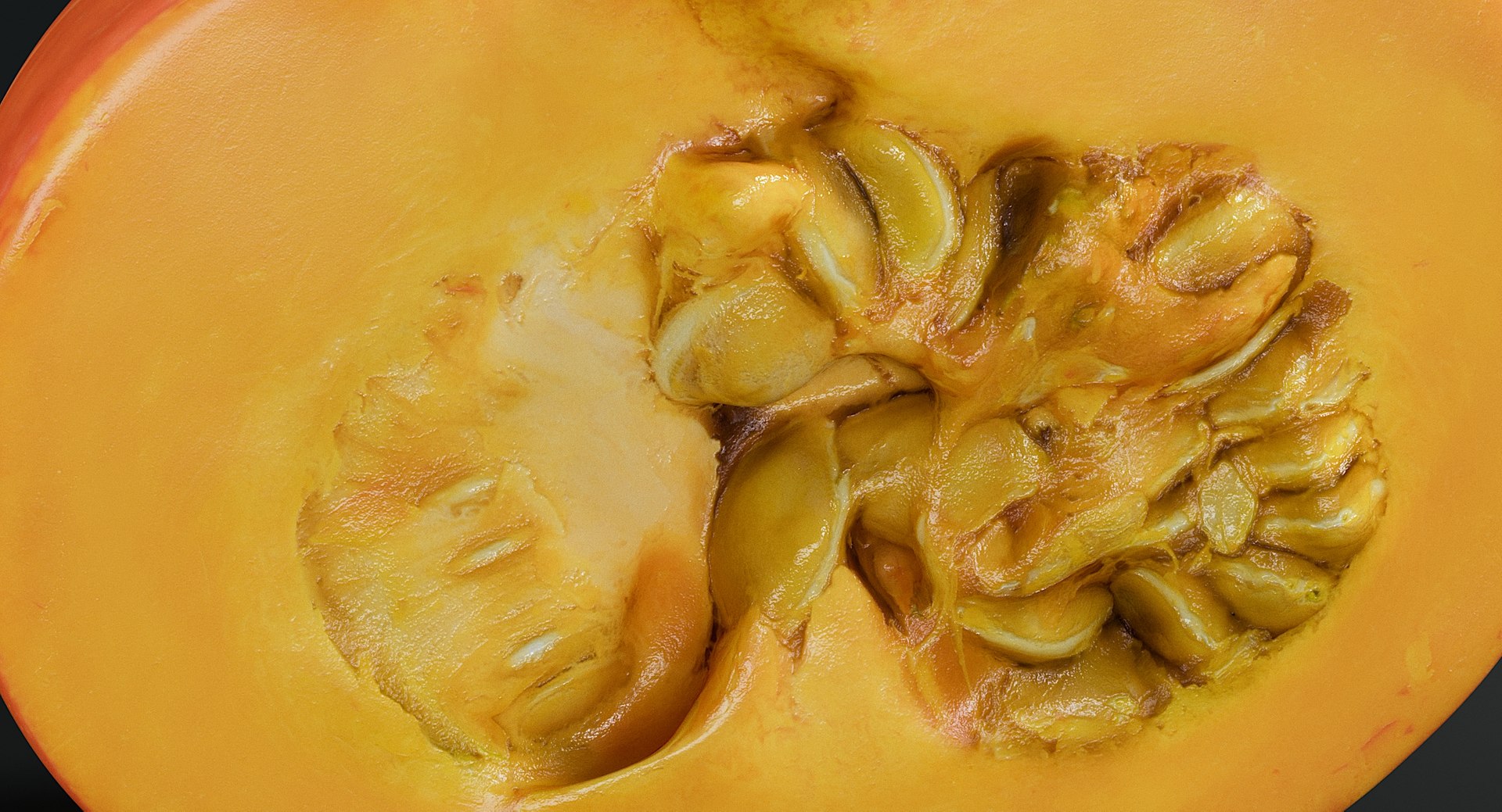 3D realistic pumpkin small 1 model https://p.turbosquid.com/ts-thumb/96/5NKBqf/2QFJUQwS/_view09/jpg/1571390676/1920x1080/fit_q87/ab452ee8cc1d9e2ef7865a36daeef7bb8a0826b5/_view09.jpg