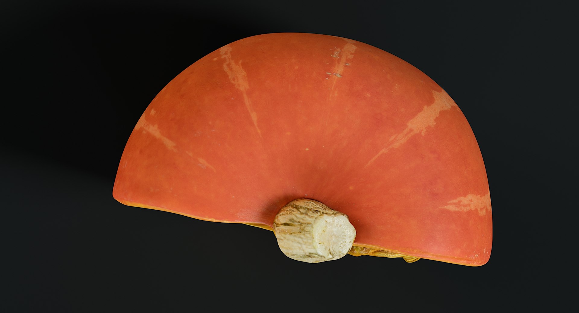 3D realistic pumpkin small 1 model https://p.turbosquid.com/ts-thumb/96/5NKBqf/PwFhoxcq/_view05/jpg/1571390676/1920x1080/fit_q87/65f31e05636ee5905a81a259ac5eaaf953b16174/_view05.jpg