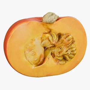 3D realistic pumpkin small 1 model