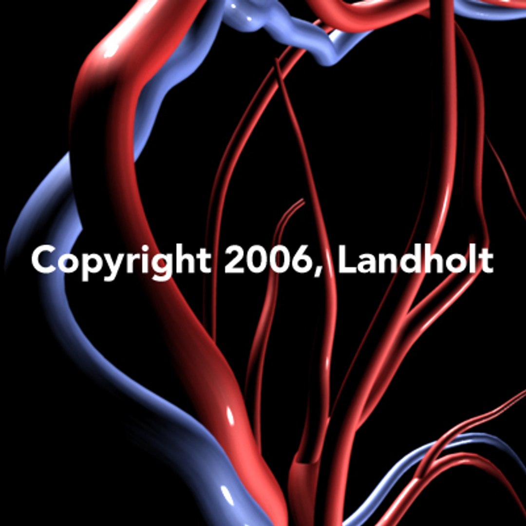 anatomically arteries veins human brain ma https://p.turbosquid.com/ts-thumb/96/KB5y5H/6lAyp2ia/brain05/jpg/1153443997/1920x1080/fit_q87/1be731c22c9bb1ddc128e919934b0e98f18c35a3/brain05.jpg