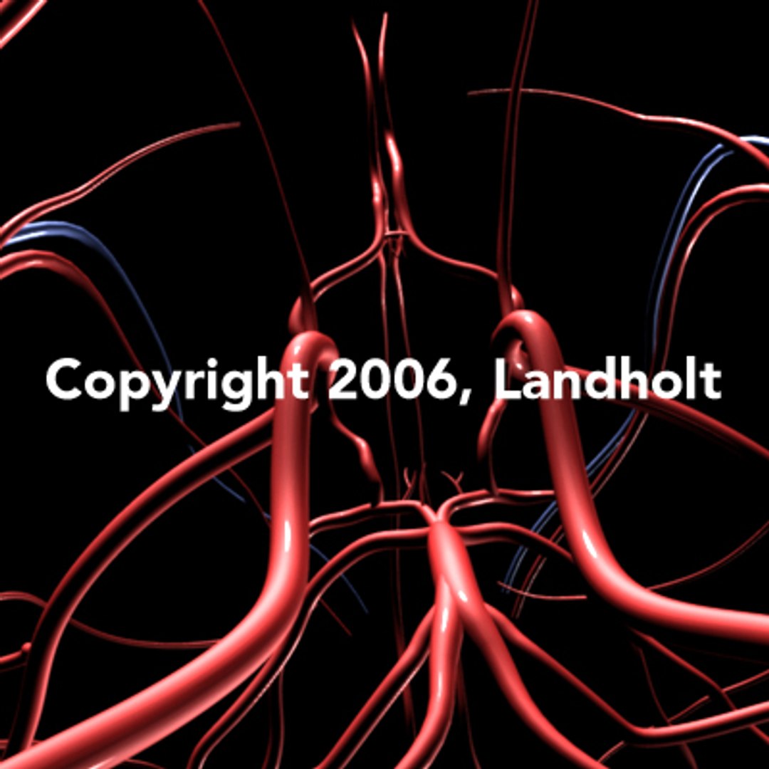 anatomically arteries veins human brain ma https://p.turbosquid.com/ts-thumb/96/KB5y5H/6zVyfMcE/brain03/jpg/1153443989/1920x1080/fit_q87/da01c4471009f250b339aa3ba2d25cc27614a38c/brain03.jpg