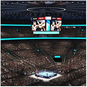 3D Detailed Boxing Arena