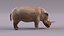 Rhino model