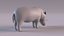Rhino model