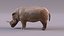 Rhino model