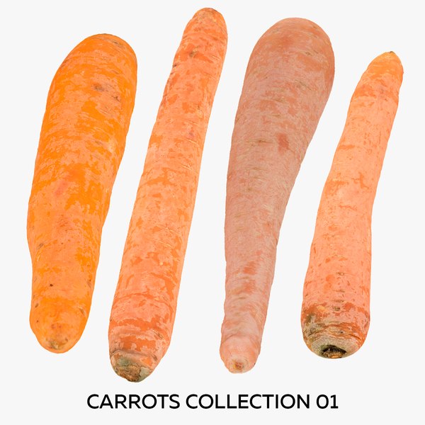 Carrots Collection 01 - 4 models RAW Scans 3D model