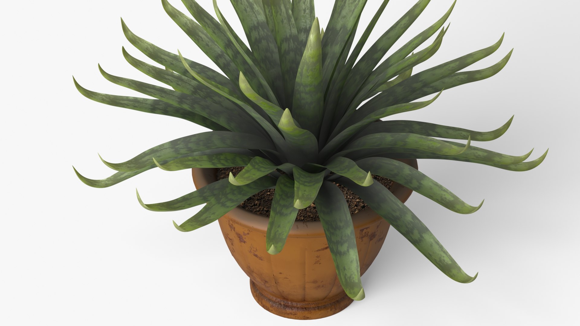Agave model https://p.turbosquid.com/ts-thumb/96/hkUdFn/I7/8/jpg/1740000239/1920x1080/fit_q87/34ddda4695acd155b9a3867c0a945af1938fd729/8.jpg