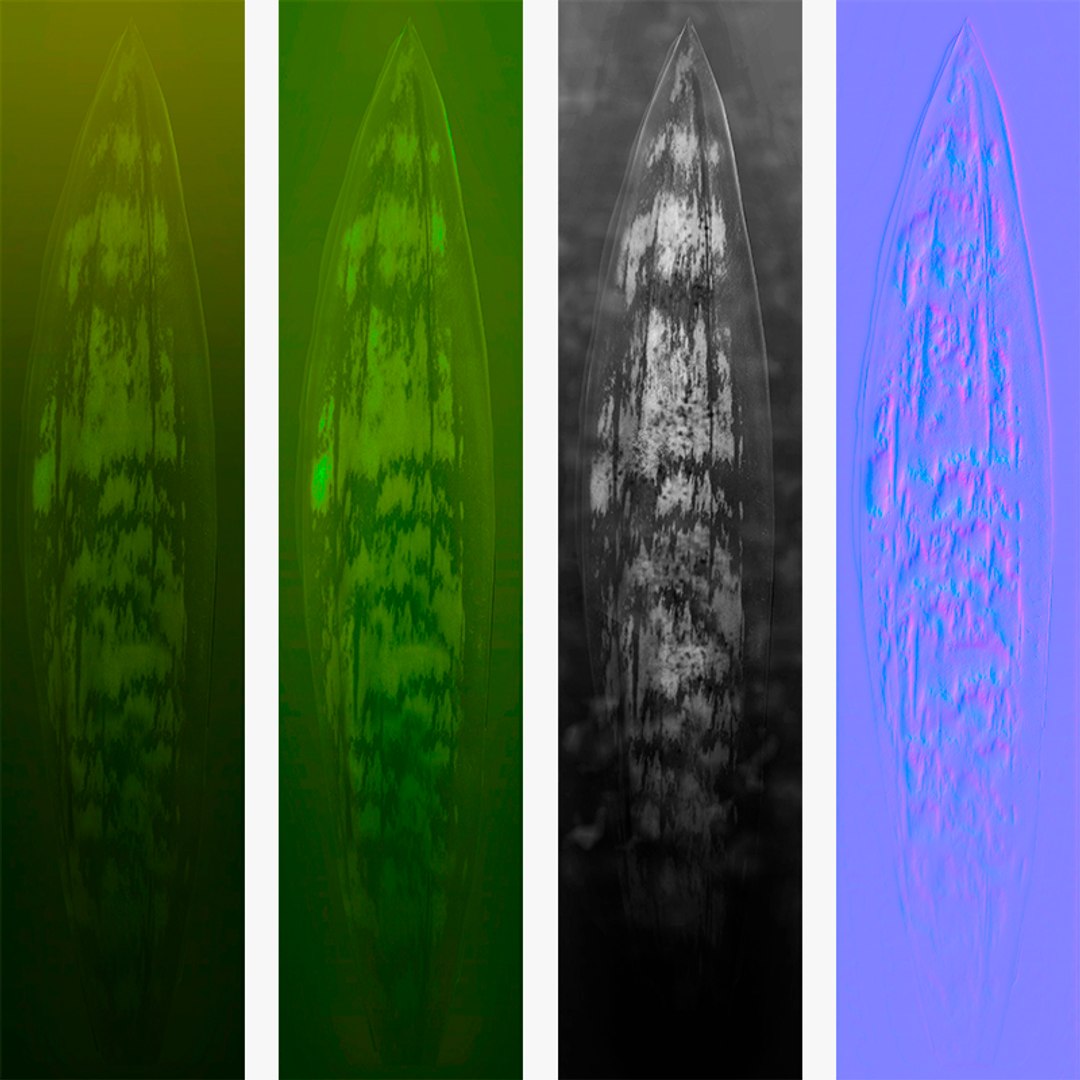 Agave model https://p.turbosquid.com/ts-thumb/96/hkUdFn/Vm/30/jpg/1740000264/1920x1080/fit_q87/7e6e2ea54f424b13fd419927f2dcaace501ec18e/30.jpg