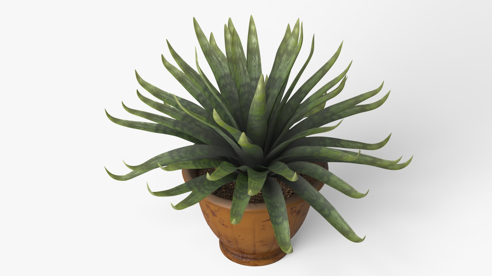 Agave model https://p.turbosquid.com/ts-thumb/96/hkUdFn/kV/9/jpg/1740000240/1920x1080/fit_q87/a70fb3769943a711abb3f78836933311affb6dc8/9.jpg