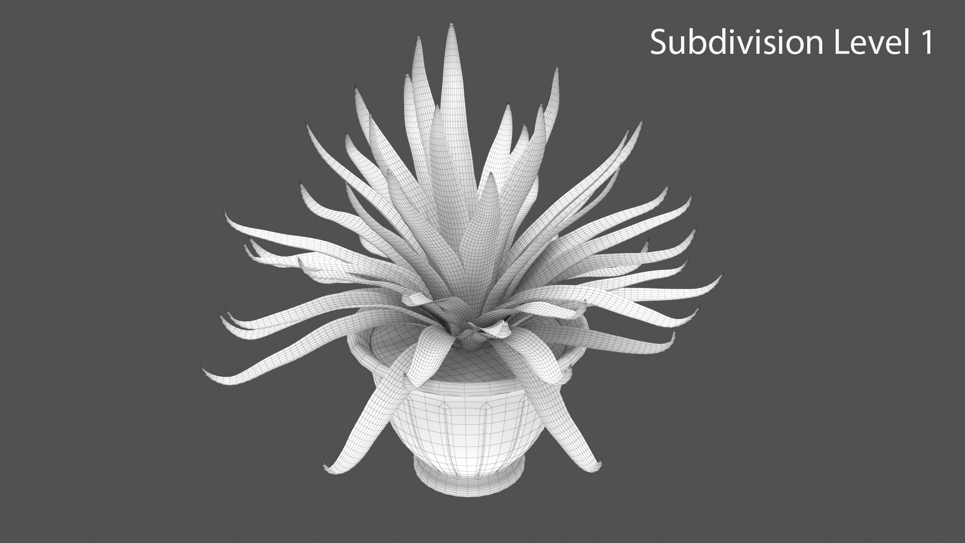 Agave model https://p.turbosquid.com/ts-thumb/96/hkUdFn/qr/23/jpg/1740000273/1920x1080/fit_q87/dc96a5ea5fbec8cb0a6aa24e842e112a7375bb41/23.jpg