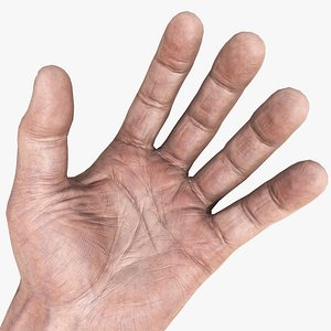 HQ Male Arms