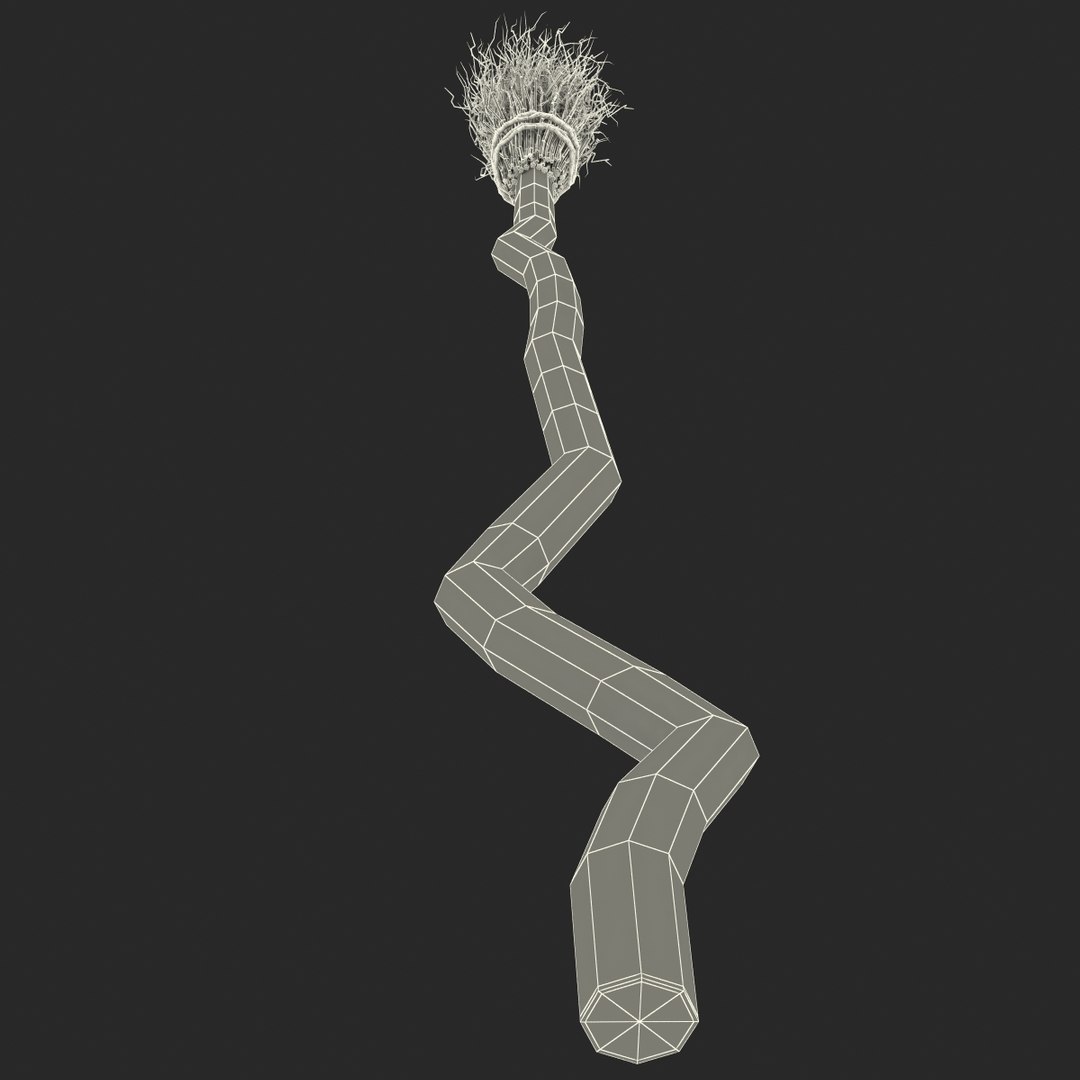 witch broom 3d model https://p.turbosquid.com/ts-thumb/96/r3l8UQ/K8IdH4gI/witchbroom_94/jpg/1405359701/1920x1080/fit_q87/1fb832ec794ca295621518d971e04f929cf54e6a/witchbroom_94.jpg