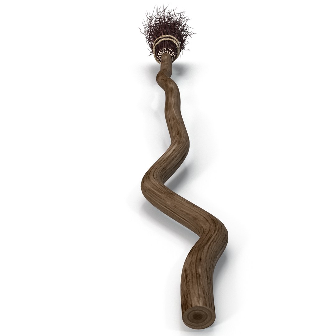 witch broom 3d model https://p.turbosquid.com/ts-thumb/96/r3l8UQ/OzgFNIBE/witchbroom_13/jpg/1405359559/1920x1080/fit_q87/0cd162ab977f0e9dad046a8d750e5c74b478281e/witchbroom_13.jpg