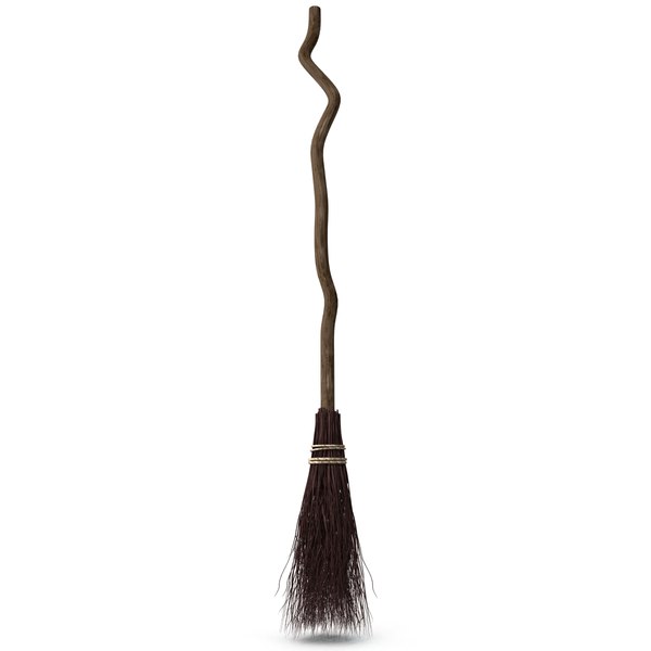 Witch Broom 3d Model