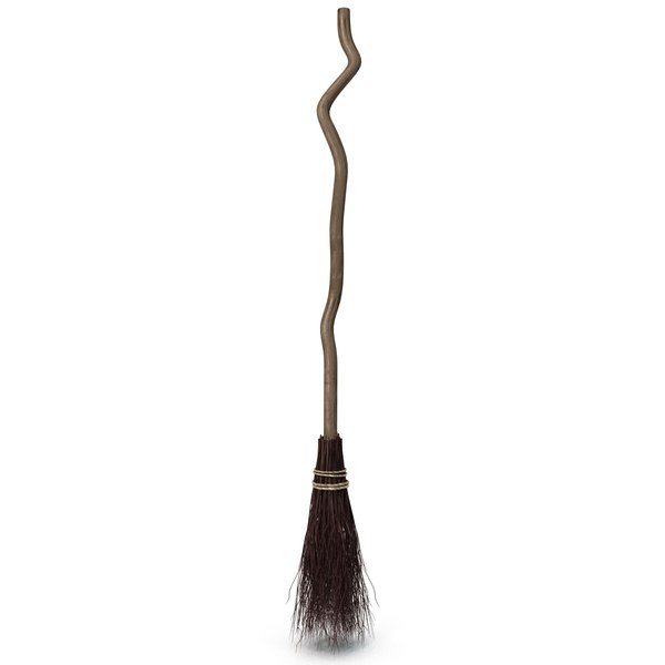 witch broom 3d model