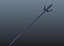 Spear