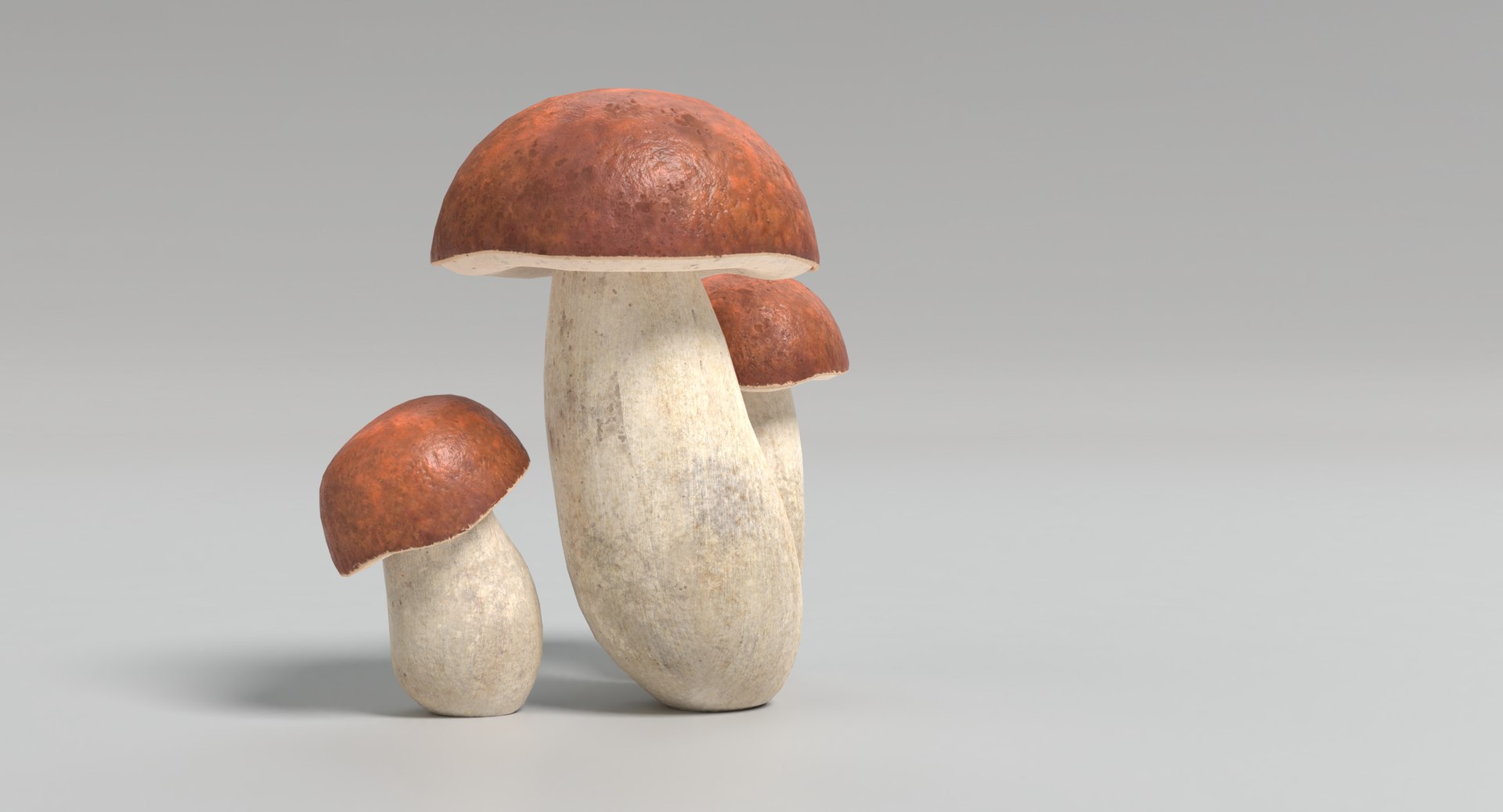3D porcini mushroom model https://p.turbosquid.com/ts-thumb/97/671BdZ/Kp0w0sn3/porcini_images0024/png/1550688696/1920x1080/fit_q87/db166982dcbb1640d7be9c393a04551d06f5707a/porcini_images0024.jpg