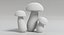Funghi porcini