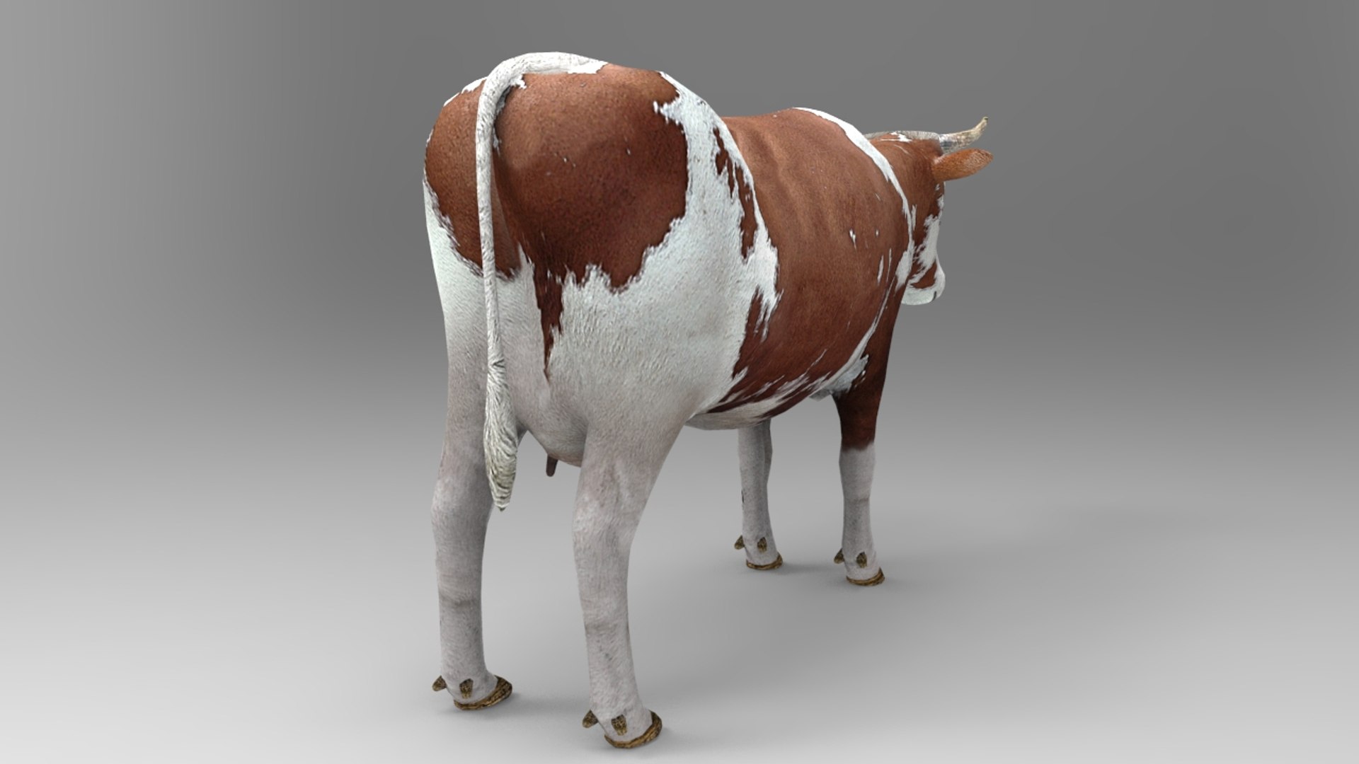 Product Mesh Animation S