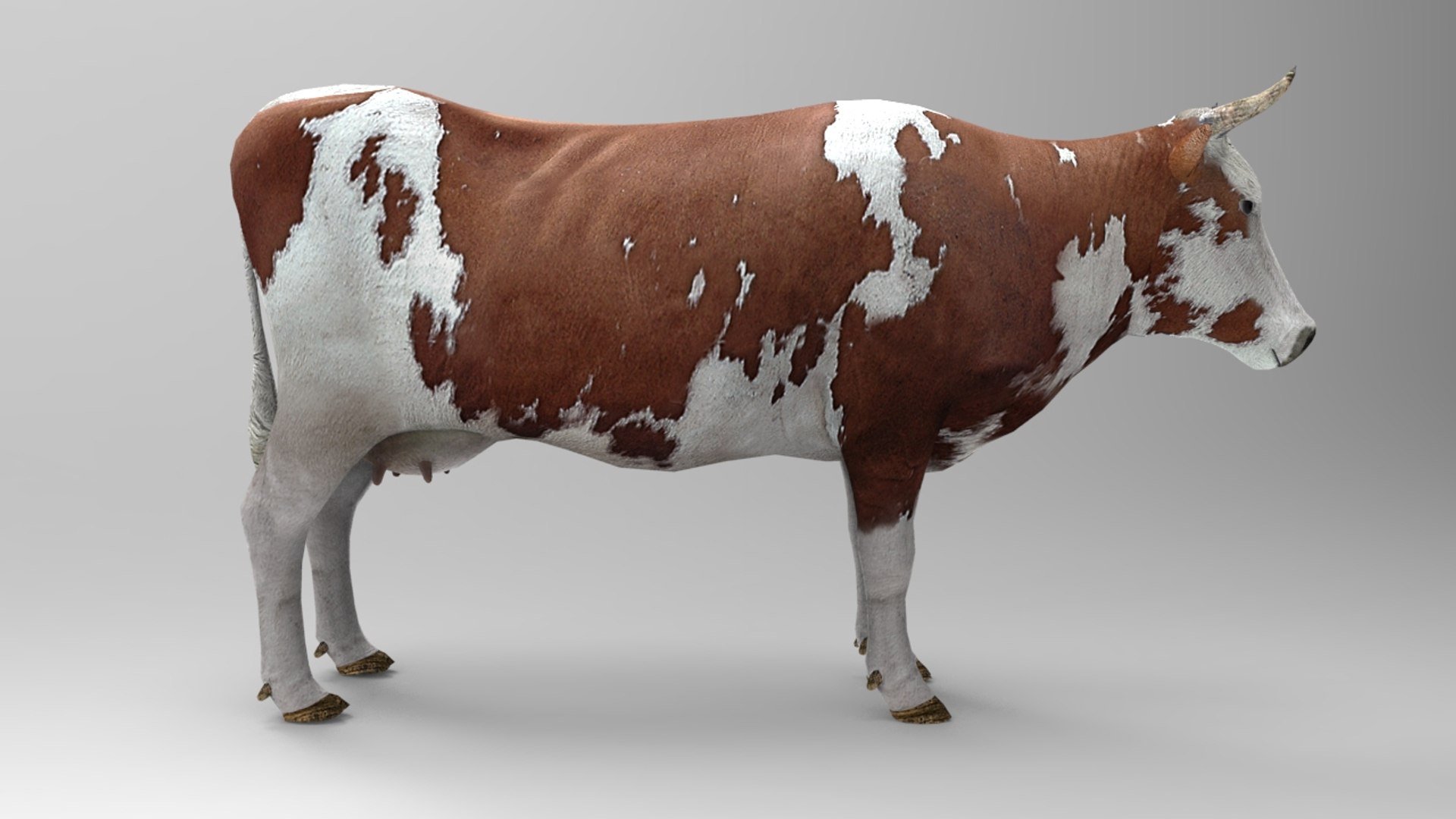 Product Mesh Animation S