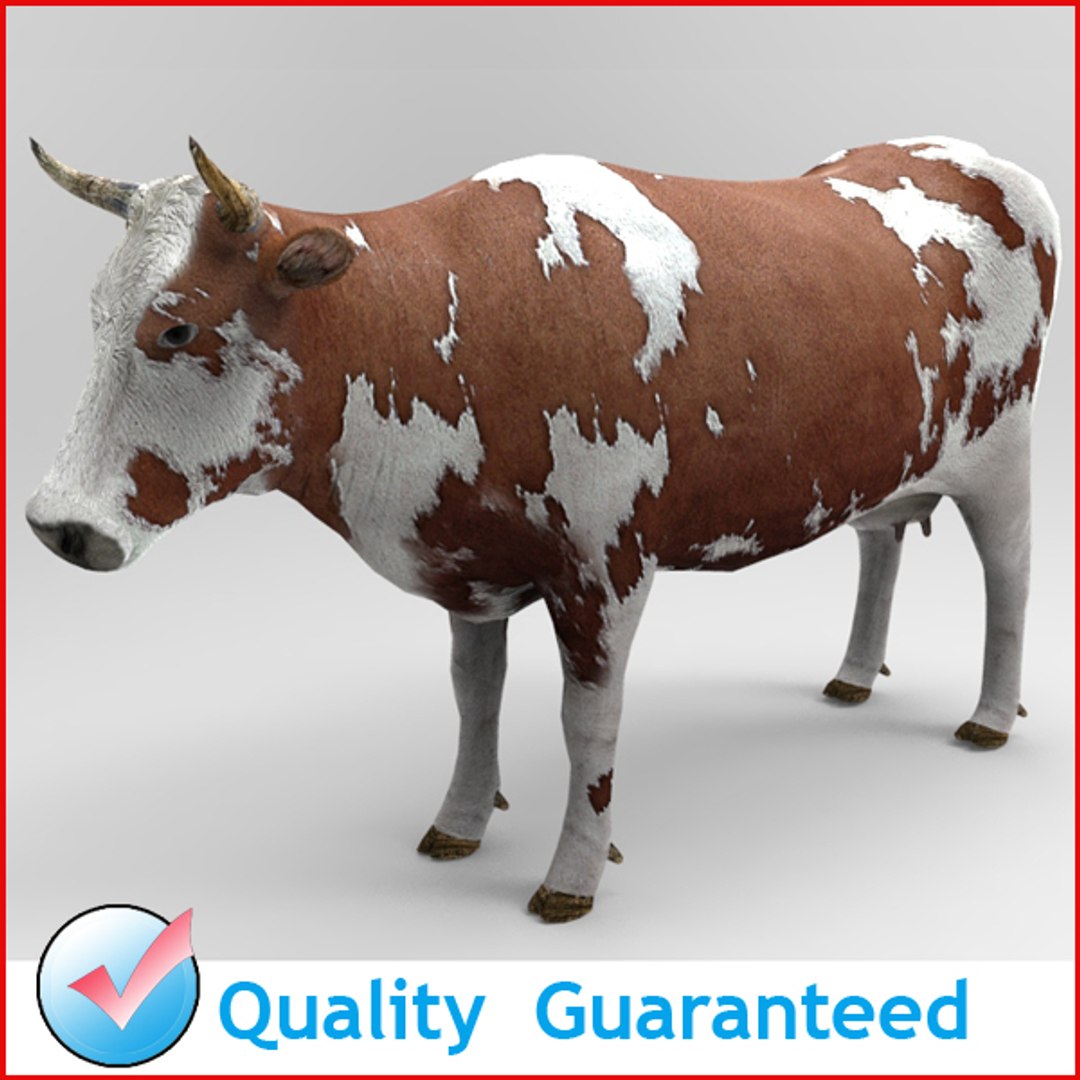 Product Mesh Animation S
