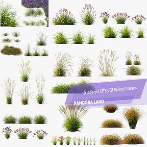 3D AV 10 Different SETS Of  spring and summer Grasses