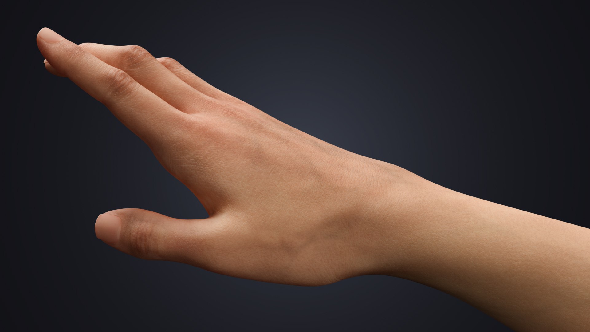 Realistic Rigged Human Arm - LowPoly 3D https://p.turbosquid.com/ts-thumb/97/OlDm84/0B/skindetails/jpg/1770059135/1920x1080/fit_q87/52709b11a751cdee1d5946c3c731672cda4bca28/skindetails.jpg