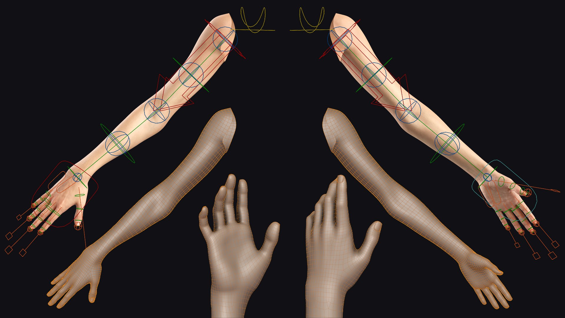 Realistic Rigged Human Arm - LowPoly 3D - TurboSquid 2358115