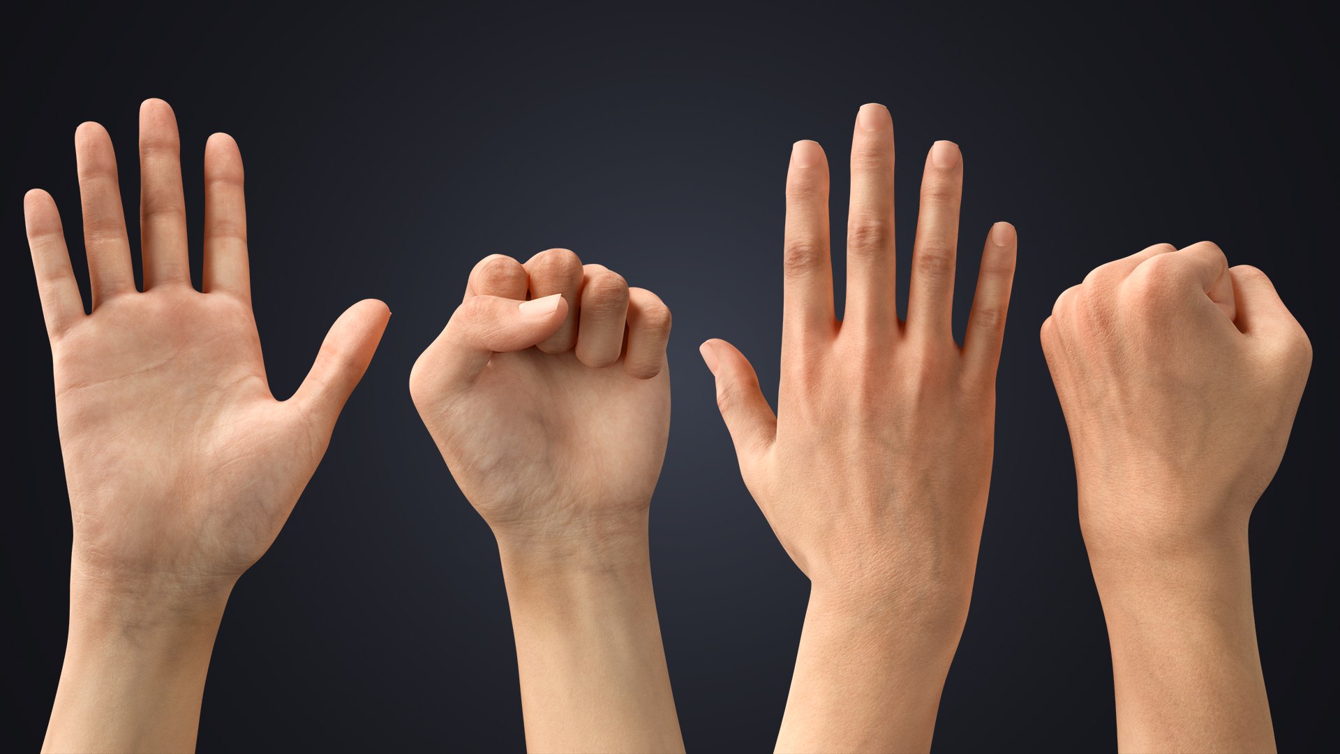 Realistic Rigged Human Arm - LowPoly 3D https://p.turbosquid.com/ts-thumb/97/OlDm84/Xf/palmfist/jpg/1770059134/1920x1080/fit_q87/ce7fdbd45e5690483ae82d60c9123f37bd27e1a1/palmfist.jpg