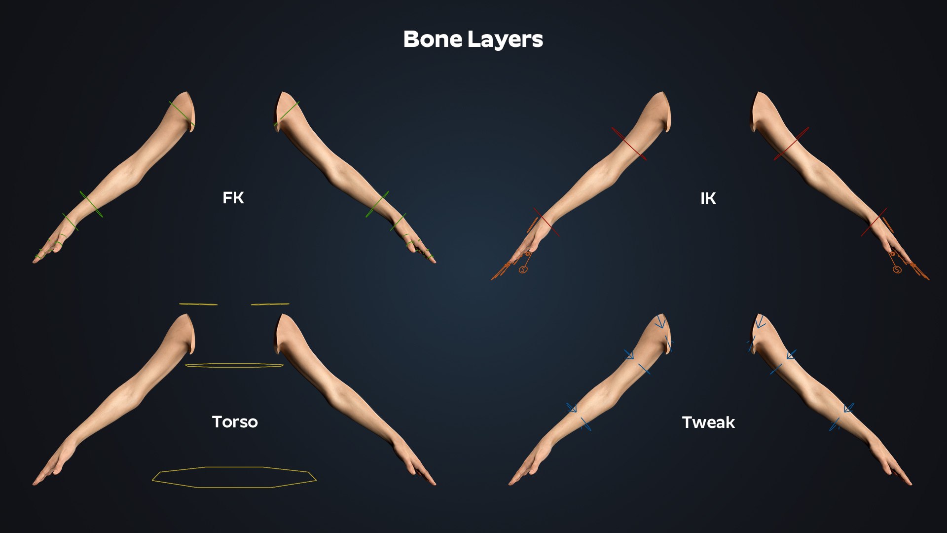 Realistic Rigged Human Arm - LowPoly 3D - TurboSquid 2358115