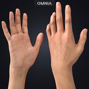 Realistic Rigged Human Arm - LowPoly 3D