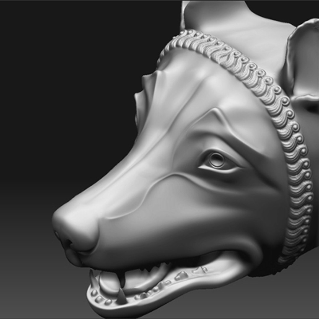 roman head 3d model https://p.turbosquid.com/ts-thumb/97/TMxxen/QCnfc1Fv/lupa05/jpg/1246899522/1920x1080/fit_q87/b2952bf94772affb8f7faecdccb587a0b5905021/lupa05.jpg