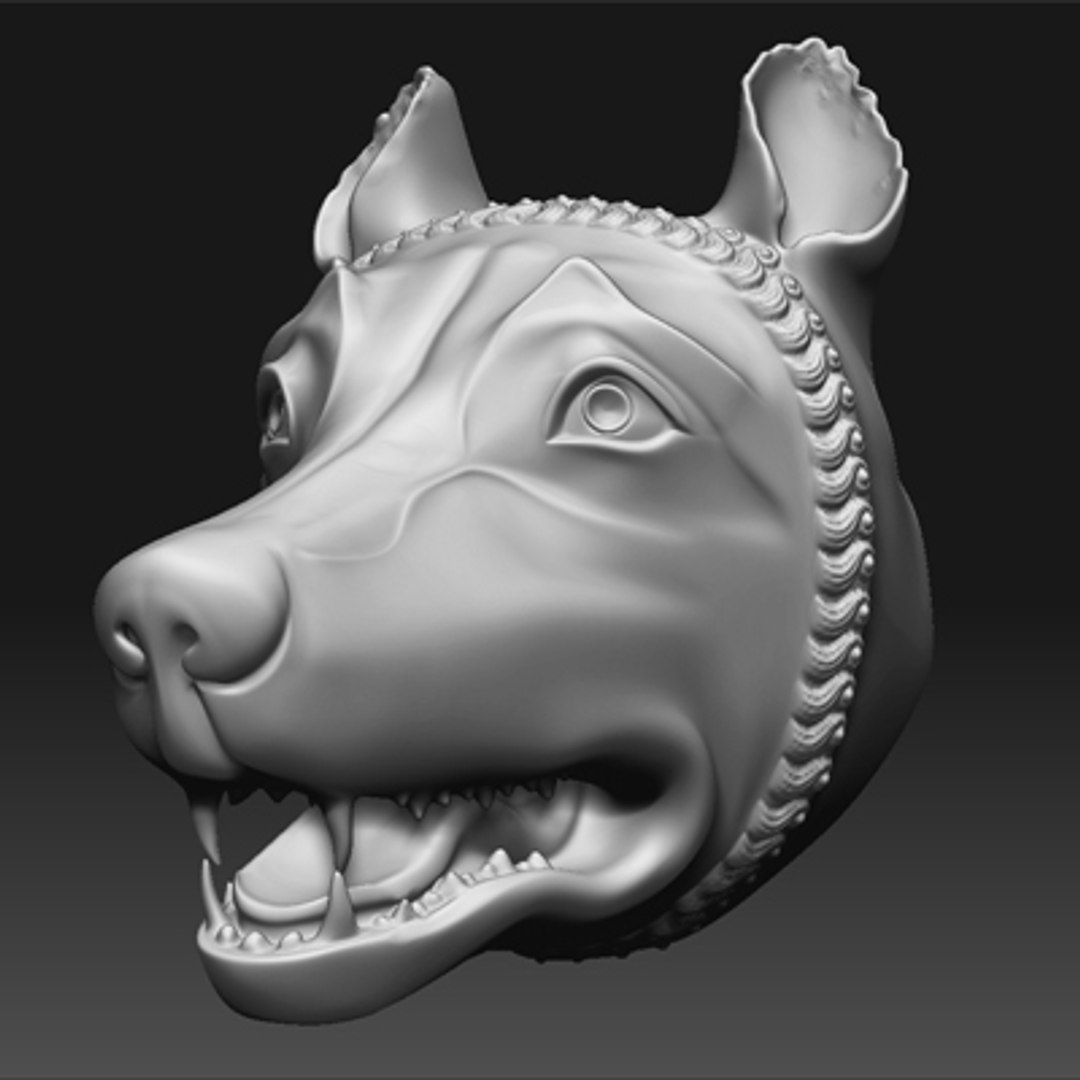 roman head 3d model https://p.turbosquid.com/ts-thumb/97/TMxxen/RPmYNcuJ/lupa09/jpg/1246899580/1920x1080/fit_q87/c6ed9f6628e38a83db866ff8a0600f6e3ca08936/lupa09.jpg