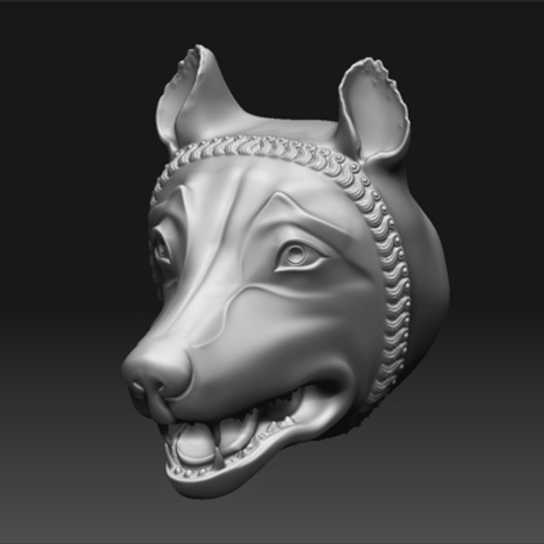 roman head 3d model https://p.turbosquid.com/ts-thumb/97/TMxxen/dwmDrfth/lupa01/jpg/1246899448/1920x1080/fit_q87/5a240ae818f1feb90a999586e76ee221026f15ba/lupa01.jpg