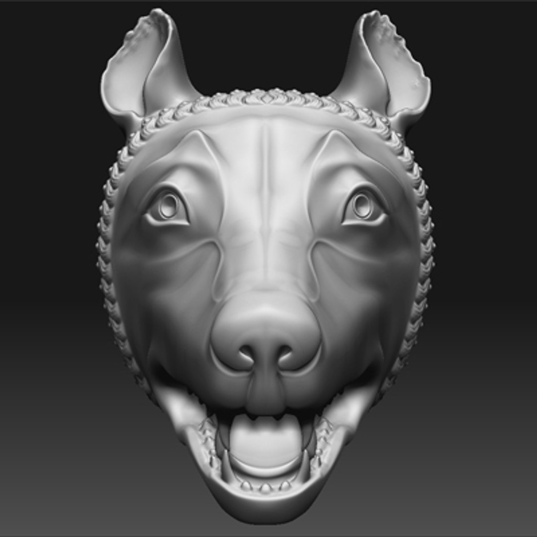 roman head 3d model https://p.turbosquid.com/ts-thumb/97/TMxxen/fl0jKpIZ/lupa10/jpg/1246899589/1920x1080/fit_q87/1f936e2d1e7bb69292532755f90e3990dbd62dc3/lupa10.jpg