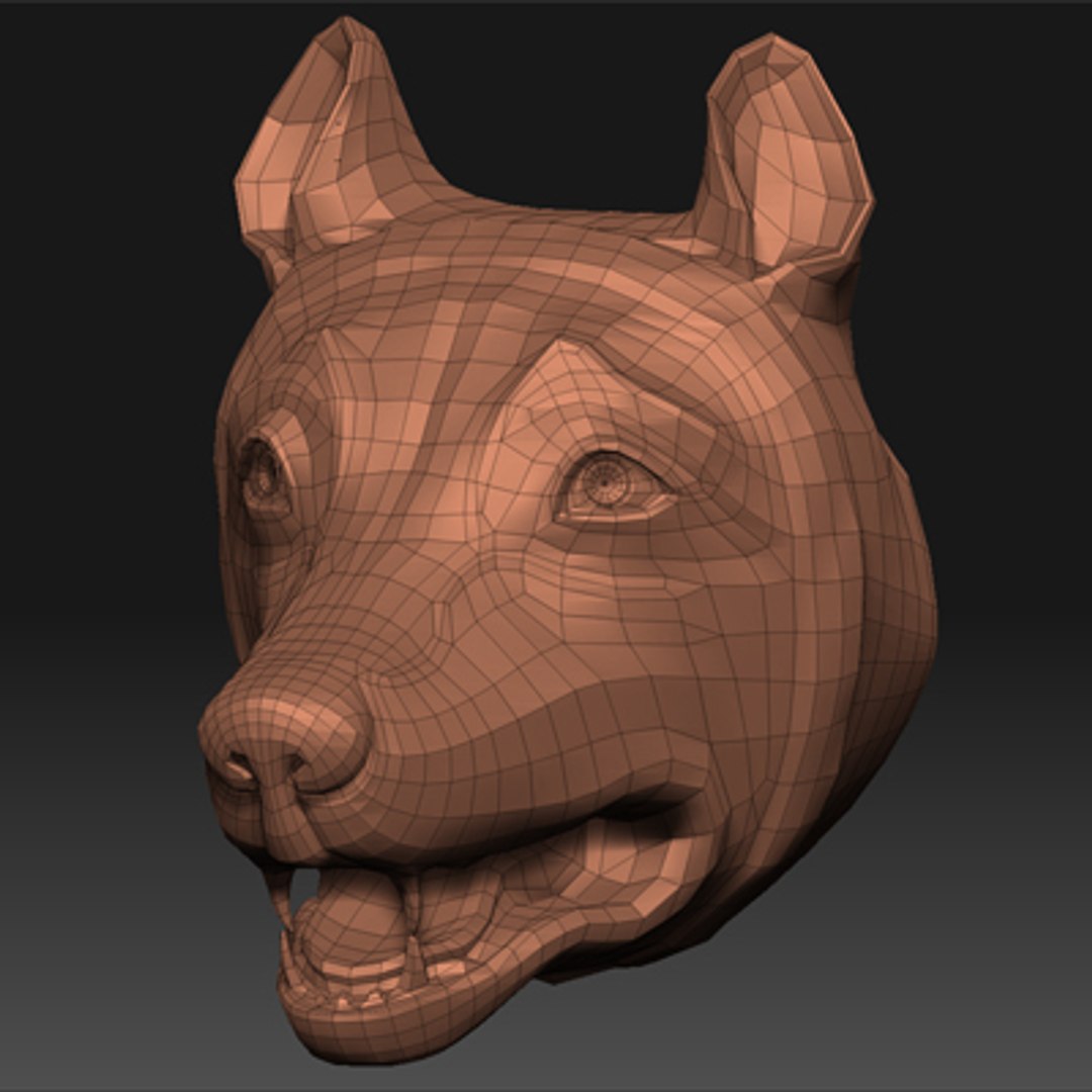 roman head 3d model https://p.turbosquid.com/ts-thumb/97/TMxxen/qK2njxlc/lupawir01/jpg/1246899664/1920x1080/fit_q87/694e8d8f891231537fe7ea220421276213da31ed/lupawir01.jpg