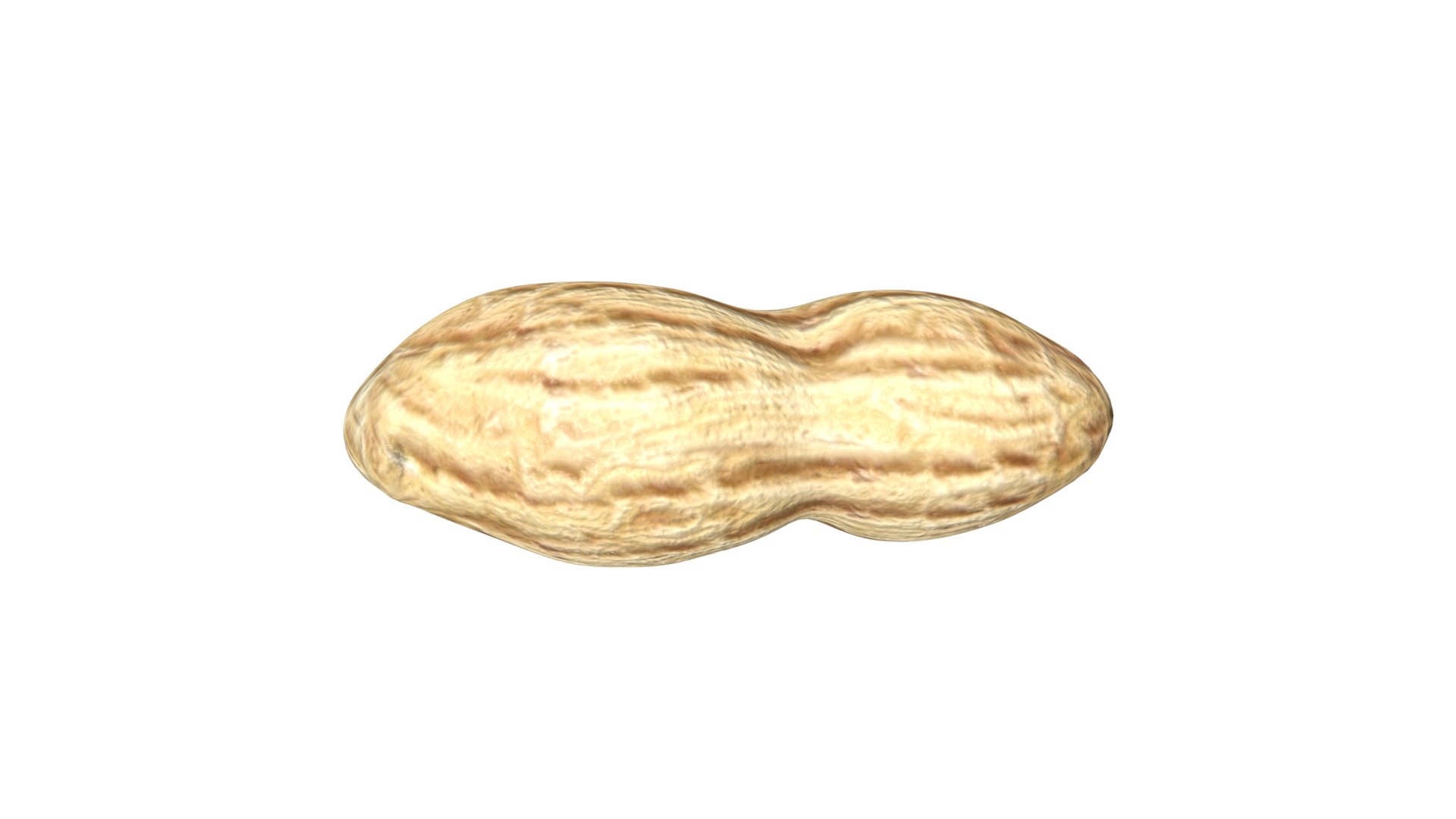 Peanut model https://p.turbosquid.com/ts-thumb/97/bFrLJR/eU/14/jpg/1626641555/1920x1080/fit_q87/fa284a560d6a17edb5011523f6eb6e4b76b48ba3/14.jpg