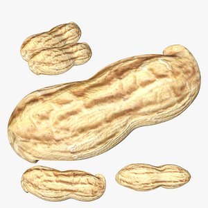 Peanut model