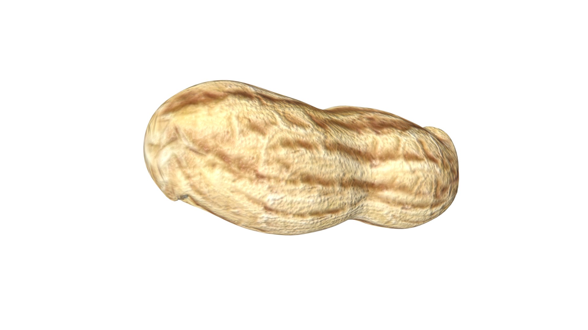 Peanut model https://p.turbosquid.com/ts-thumb/97/bFrLJR/sG/15/jpg/1626641555/1920x1080/fit_q87/9220d99b45e644b980aa906e4ee3b34e01cfaabc/15.jpg