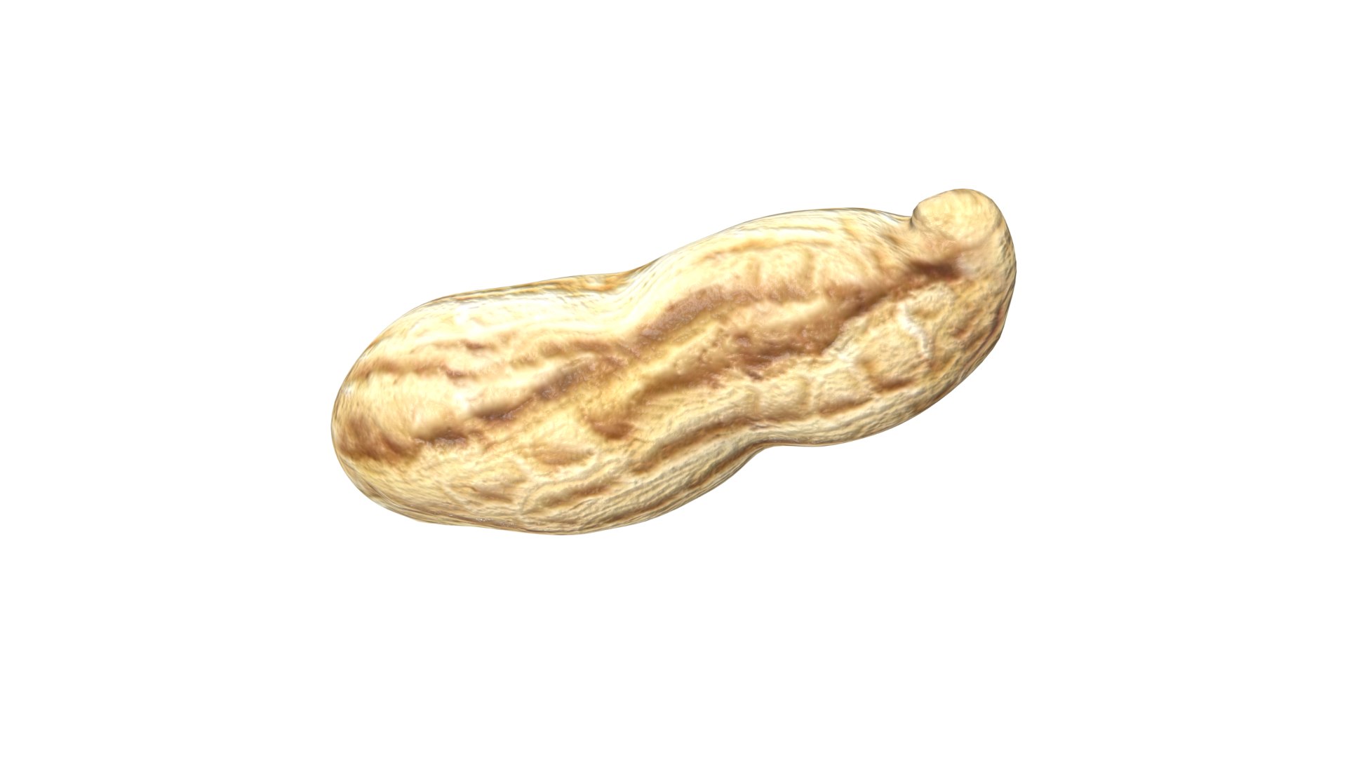 Peanut model https://p.turbosquid.com/ts-thumb/97/bFrLJR/yS/13/jpg/1626641554/1920x1080/fit_q87/bafa926ac6529d7cbd74018a8cdb65c9ce82a975/13.jpg