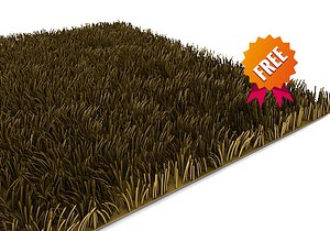 3d Carpet DMV301