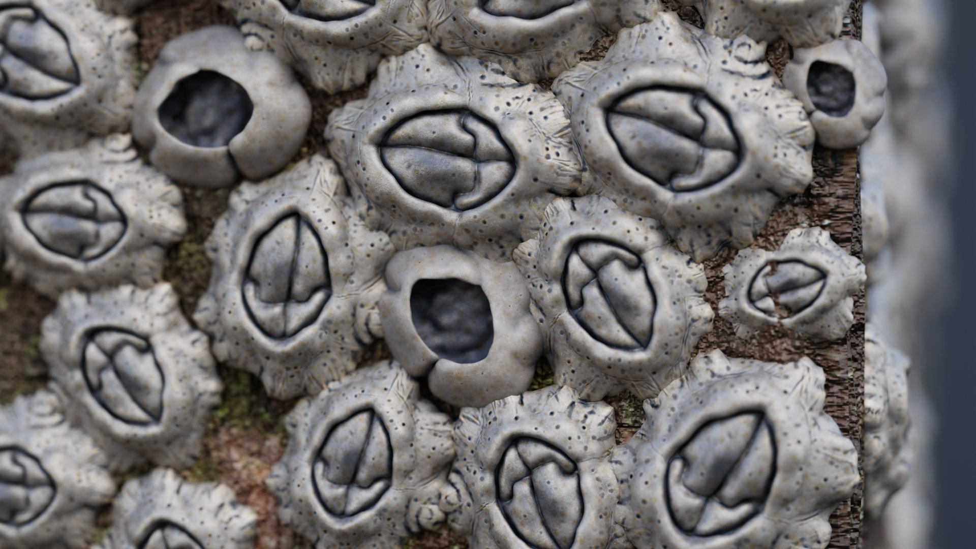 3D Column With Barnacles Model - TurboSquid 2360337